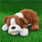 Preview: Snore`n`Snuggel, schlafender und schnarchender Hund Friedolin mit Hangtag