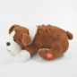 Preview: Snore`n`Snuggel, schlafender und schnarchender Hund Friedolin mit Hangtag