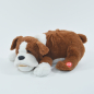 Preview: Snore`n`Snuggel, schlafender und schnarchender Hund Friedolin mit Hangtag