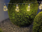 Preview: LED Lichterkette Outdoor 10 LED Glühbirnen transparent Batterienbetrieben