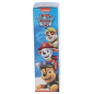 Preview: Paw Patrol Trinkflasche aus Aluminium - Team