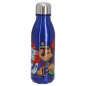 Preview: Paw Patrol Trinkflasche aus Aluminium - Team