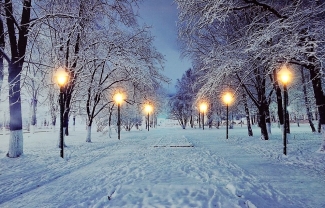 LED Bild aus Canvas Motive: Winterlandschaft Allee 6 LED L:1.8cm B:60cm H:40cm